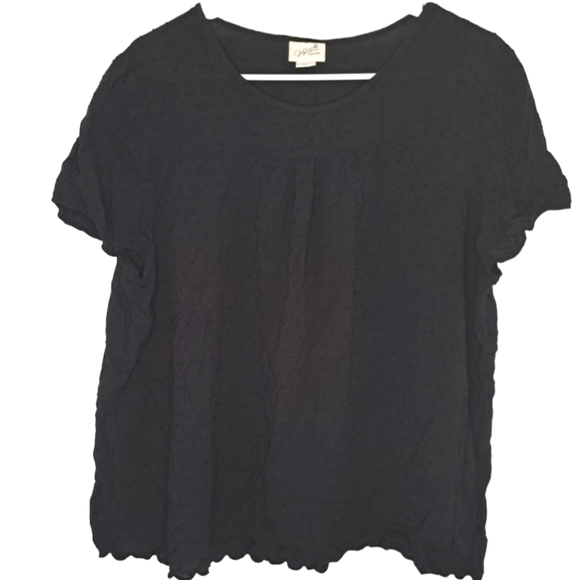 Jaclyn Smith Black Embroidered Blouse Plus Size XXL - Picture 2 of 7